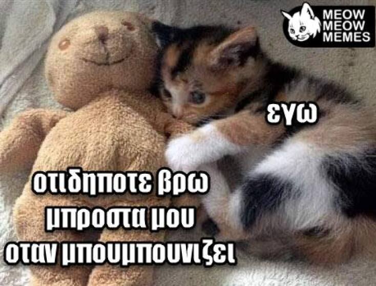 Αστεία memes, ατάκες, YOLO βίντεο, viral, αστεία video στο TikTok που ανέβηκαν στο διαδίκτυο και μας έκαναν να γελάσουμε.