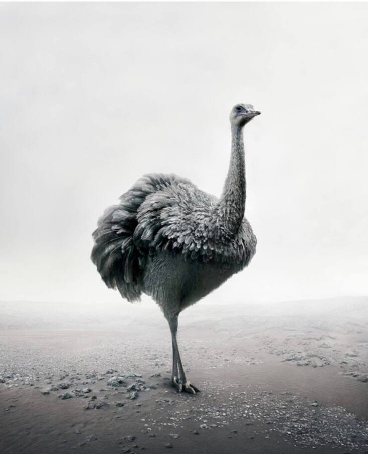 Έργο της Φωτομετρίας