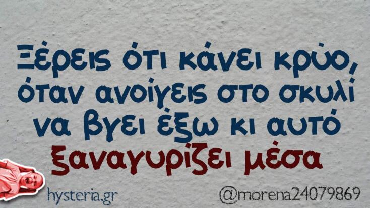 Αστεία memes, ατάκες, YOLO βίντεο, viral, αστεία video στο TikTok που ανέβηκαν στο διαδίκτυο και μας έκαναν να γελάσουμε.