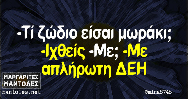 Αστεία memes, ατάκες, YOLO βίντεο, viral, αστεία video στο TikTok που ανέβηκαν στο διαδίκτυο και μας έκαναν να γελάσουμε.