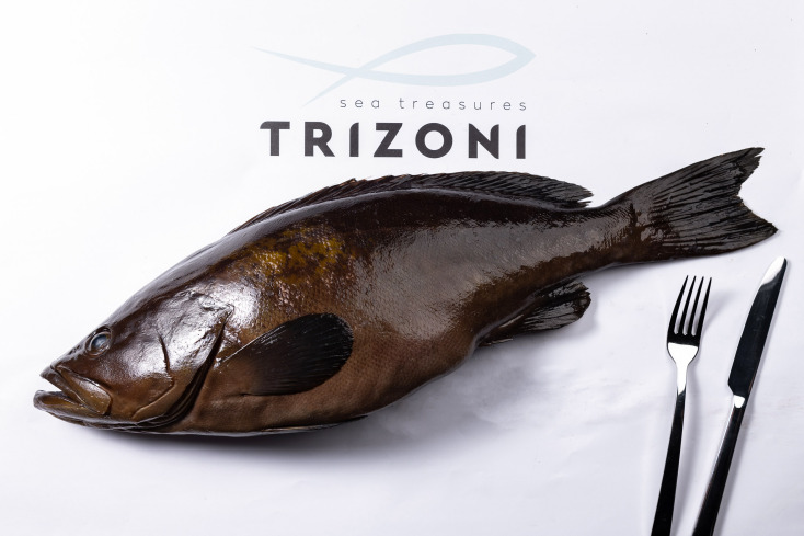 Τριζόνι: Ο παράδεισος της ψαροφαγίας στον βορρά φέτος κλείνει 40 χρόνια 