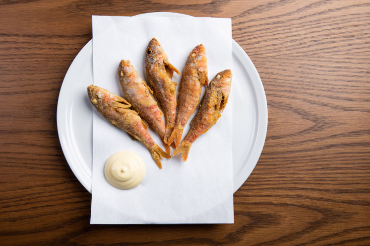 Τριζόνι: Ο παράδεισος της ψαροφαγίας στον βορρά φέτος κλείνει 40 χρόνια 