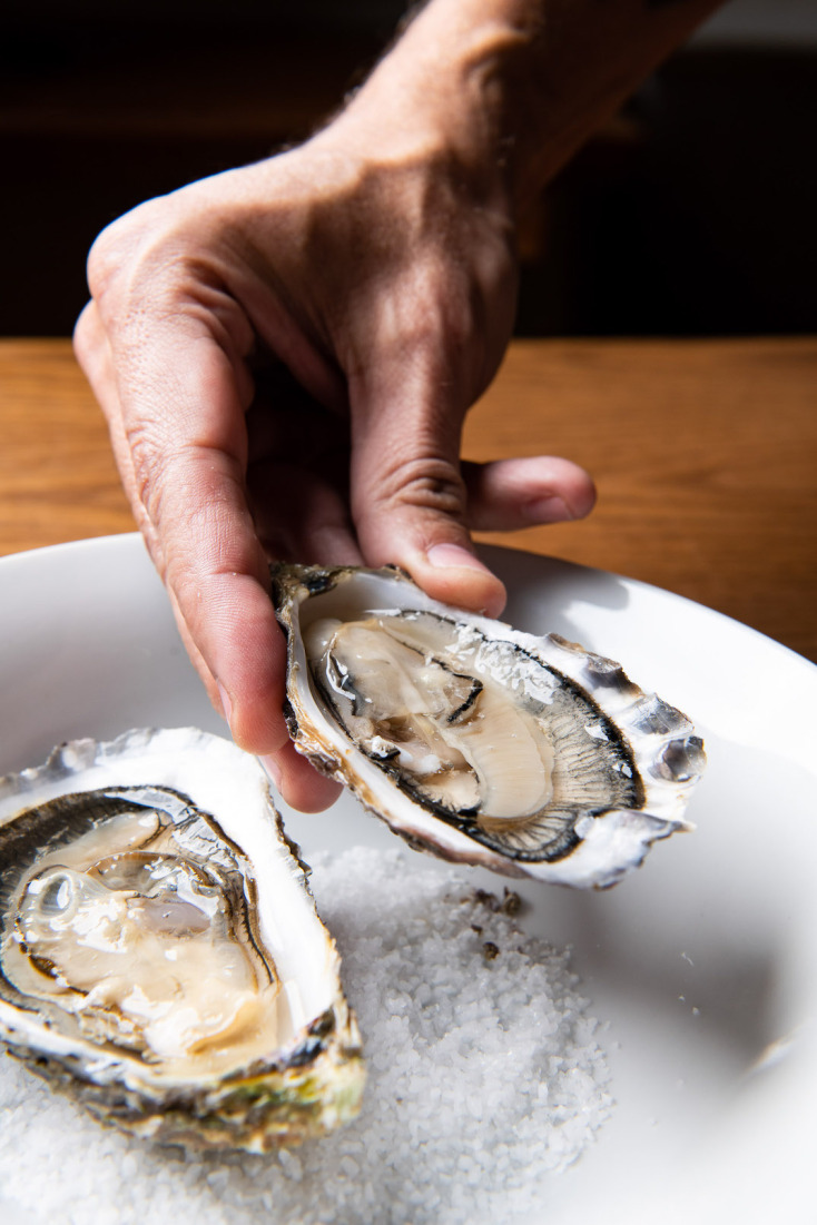 Τριζόνι: Ο παράδεισος της ψαροφαγίας στον βορρά φέτος κλείνει 40 χρόνια 