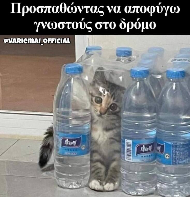 Αστεία memes, ατάκες, YOLO βίντεο, viral, αστεία video στο TikTok που ανέβηκαν στο διαδίκτυο και μας έκαναν να γελάσουμε.