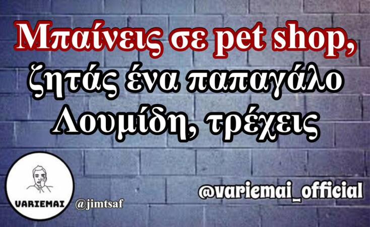 Αστεία memes, ατάκες, YOLO βίντεο, viral, αστεία video στο TikTok που ανέβηκαν στο διαδίκτυο και μας έκαναν να γελάσουμε.