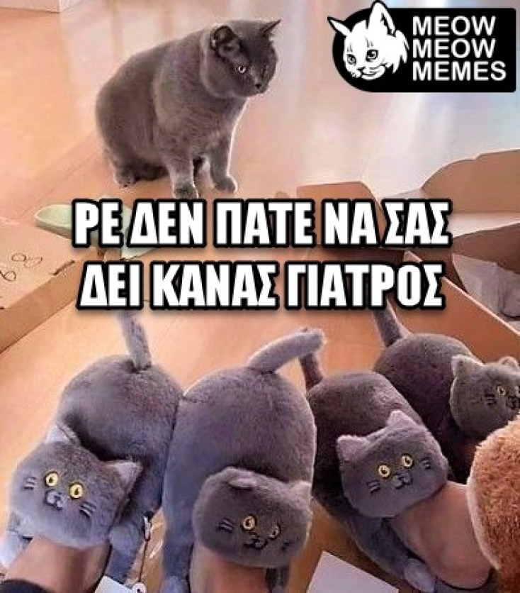 Αστεία memes, ατάκες, YOLO βίντεο, viral, αστεία video στο TikTok που ανέβηκαν στο διαδίκτυο και μας έκαναν να γελάσουμε.