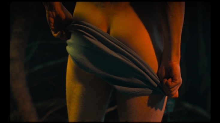 Σκηνή από την ταινία Blank Narcissus του Πίτερ Στρίκλαντ