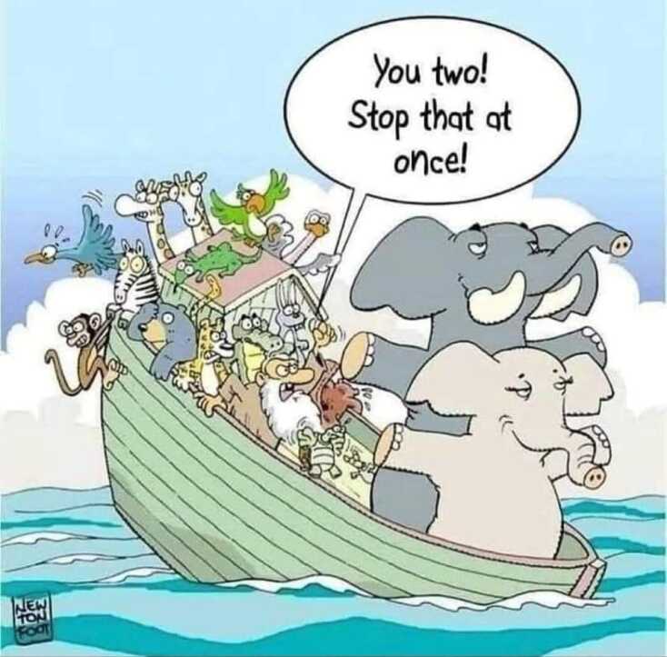 Αστεία memes, ατάκες, YOLO βίντεο, viral, αστεία video στο TikTok που ανέβηκαν στο διαδίκτυο και μας έκαναν να γελάσουμε.