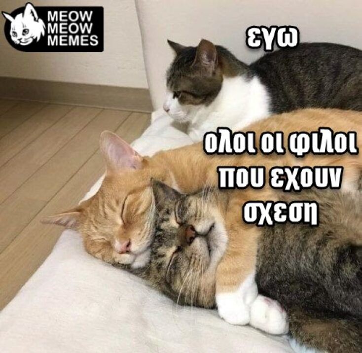 Αστεία memes, ατάκες, YOLO βίντεο, viral, αστεία video στο TikTok που ανέβηκαν στο διαδίκτυο και μας έκαναν να γελάσουμε.