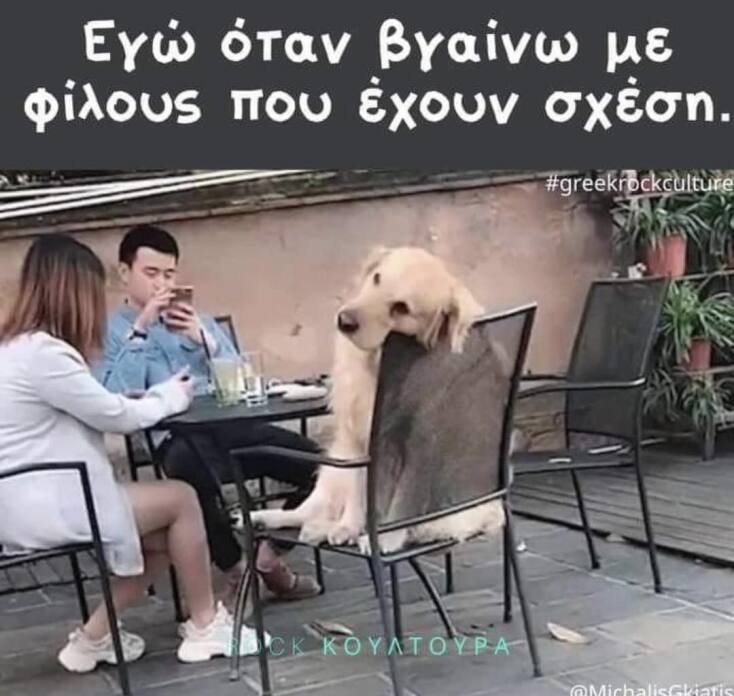 Αστεία memes, ατάκες, YOLO βίντεο, viral, αστεία video στο TikTok που ανέβηκαν στο διαδίκτυο και μας έκαναν να γελάσουμε.