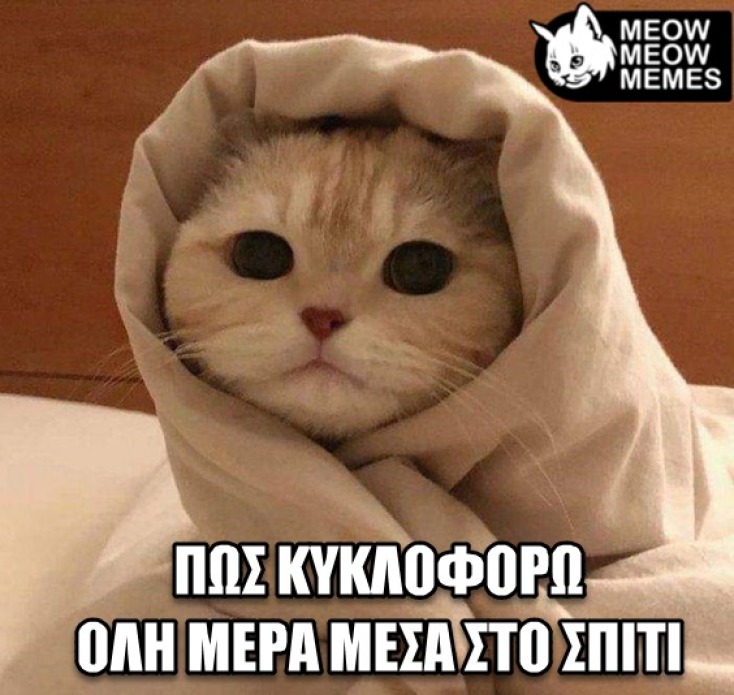 Αστεία memes, ατάκες, YOLO βίντεο, viral, αστεία video στο TikTok που ανέβηκαν στο διαδίκτυο και μας έκαναν να γελάσουμε.