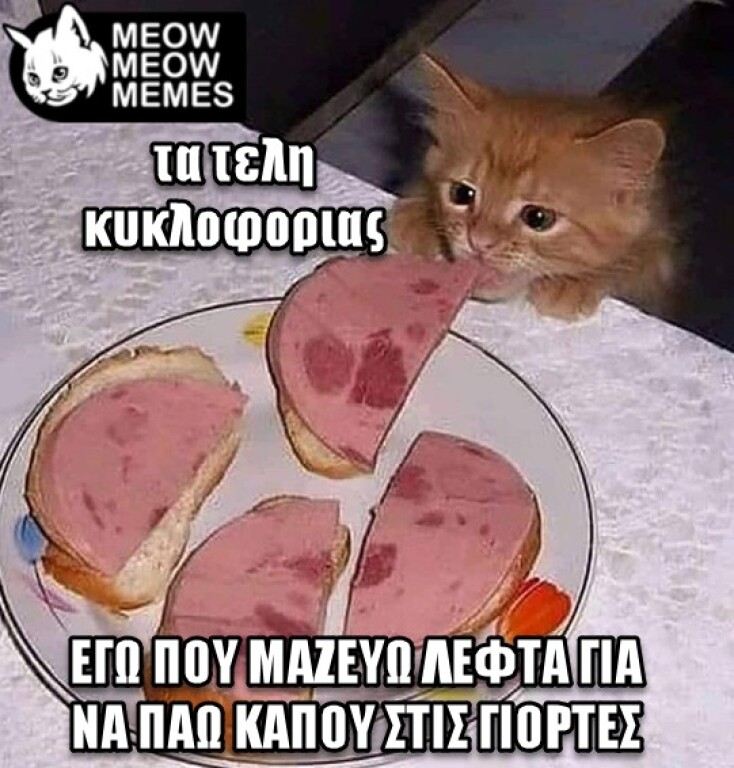 Αστεία memes, ατάκες, YOLO βίντεο, viral, αστεία video στο TikTok που ανέβηκαν στο διαδίκτυο και μας έκαναν να γελάσουμε.