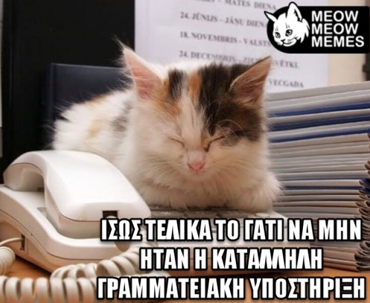 Αστεία memes, ατάκες, YOLO βίντεο, viral, αστεία video στο TikTok που ανέβηκαν στο διαδίκτυο και μας έκαναν να γελάσουμε.