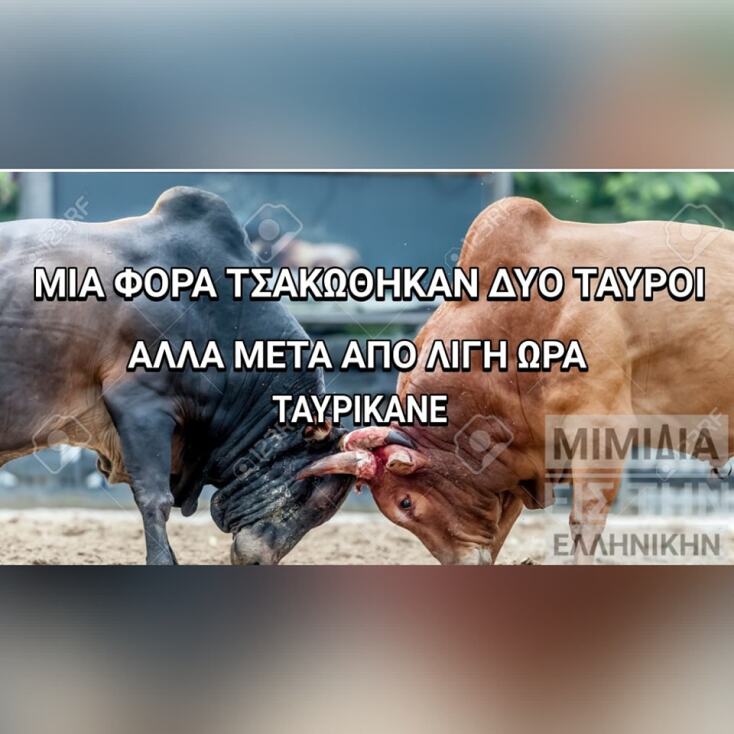 Αστεία memes, ατάκες, YOLO βίντεο, viral, αστεία video στο TikTok που ανέβηκαν στο διαδίκτυο και μας έκαναν να γελάσουμε.