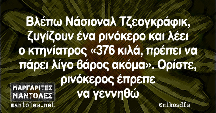 Αστεία memes, ατάκες, YOLO βίντεο, viral, αστεία video στο TikTok που ανέβηκαν στο διαδίκτυο και μας έκαναν να γελάσουμε.