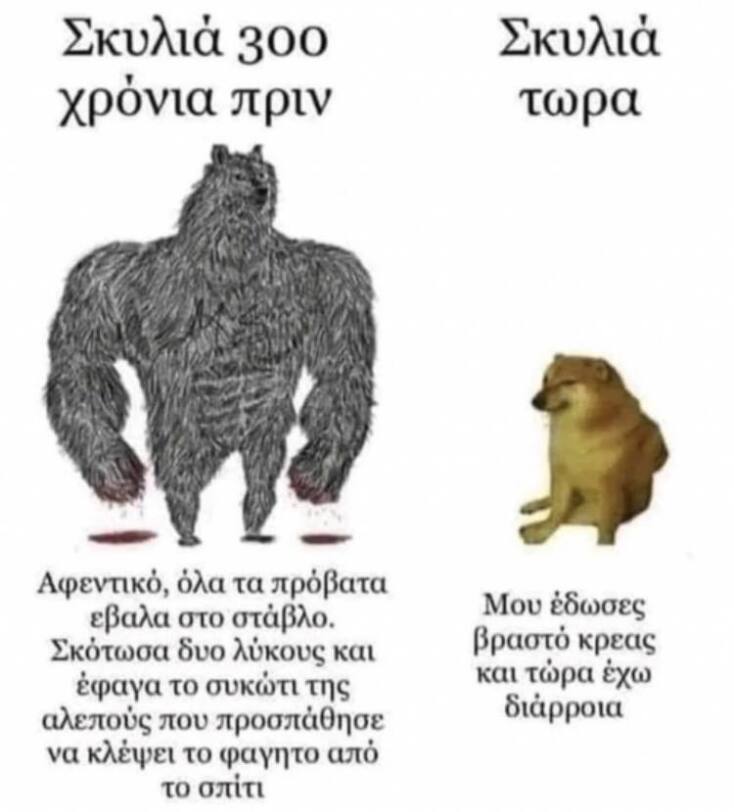 Αστεία memes, ατάκες, YOLO βίντεο, viral, αστεία video στο TikTok που ανέβηκαν στο διαδίκτυο και μας έκαναν να γελάσουμε.