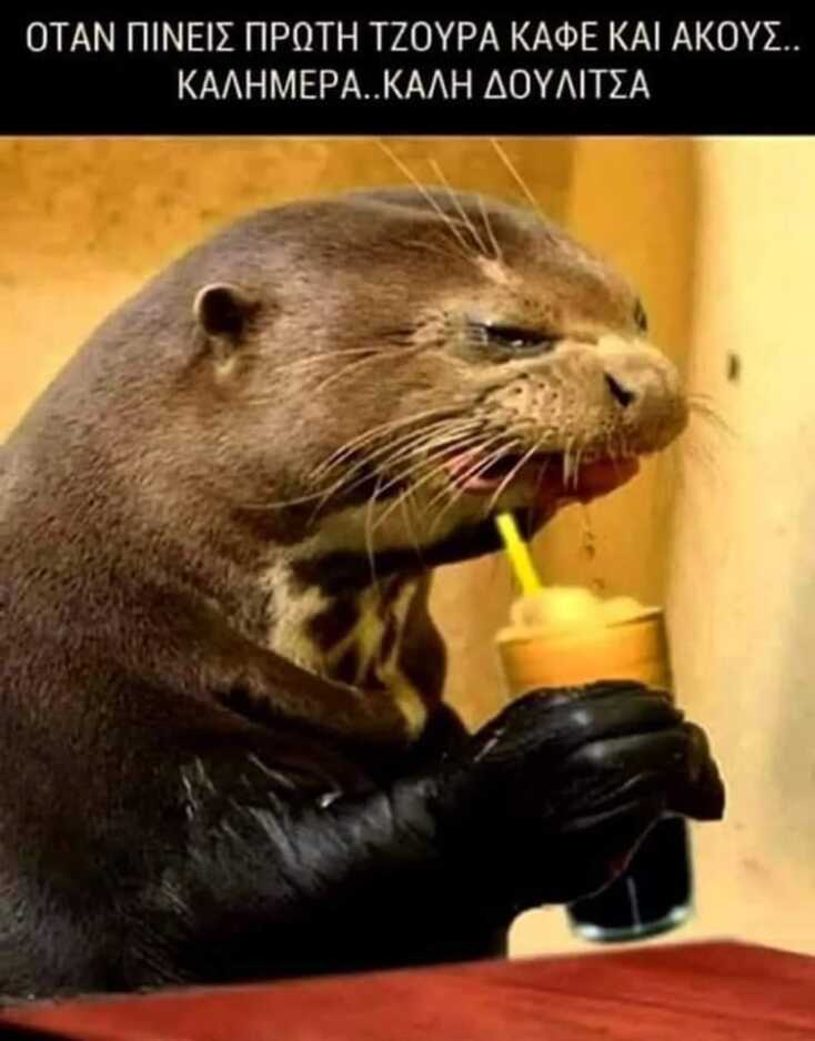 Αστεία memes, ατάκες, YOLO βίντεο, viral, αστεία video στο TikTok που ανέβηκαν στο διαδίκτυο και μας έκαναν να γελάσουμε.