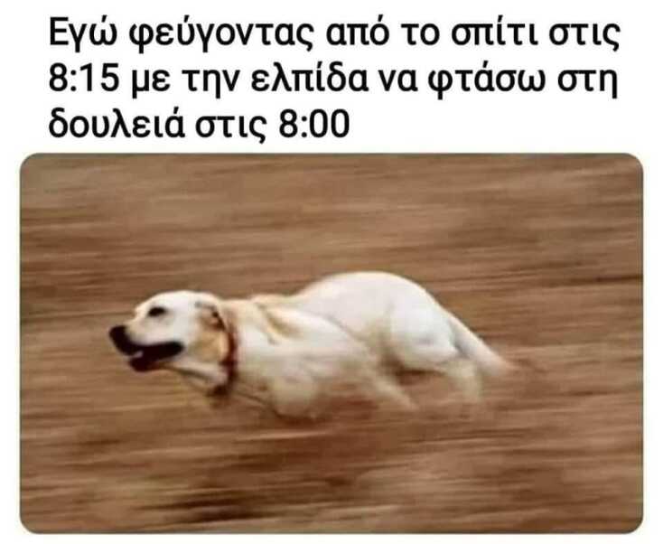 Αστεία memes, ατάκες, YOLO βίντεο, viral, αστεία video στο TikTok που ανέβηκαν στο διαδίκτυο και μας έκαναν να γελάσουμε.