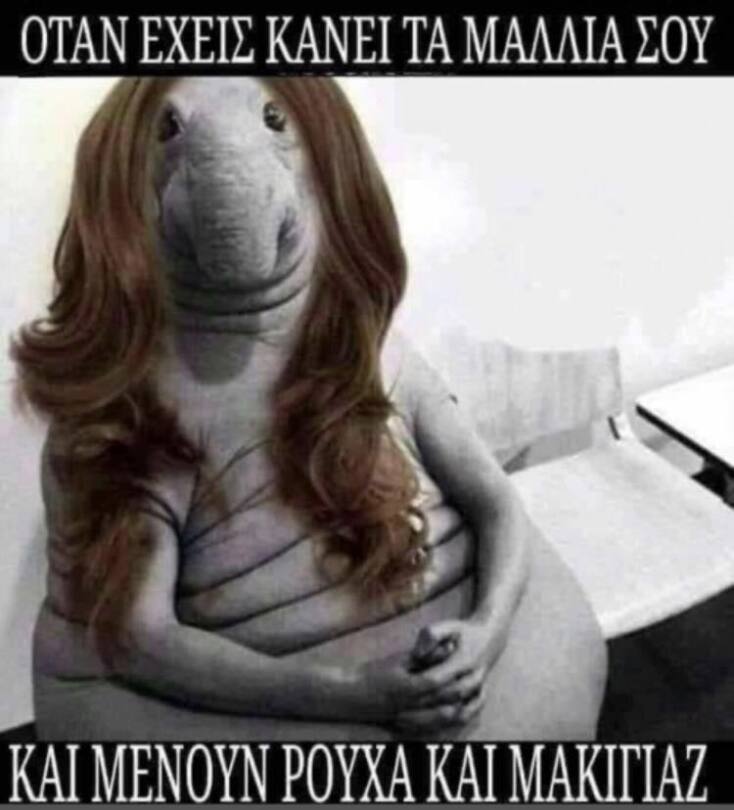 Αστεία memes, ατάκες, YOLO βίντεο, viral, αστεία video στο TikTok που ανέβηκαν στο διαδίκτυο και μας έκαναν να γελάσουμε.