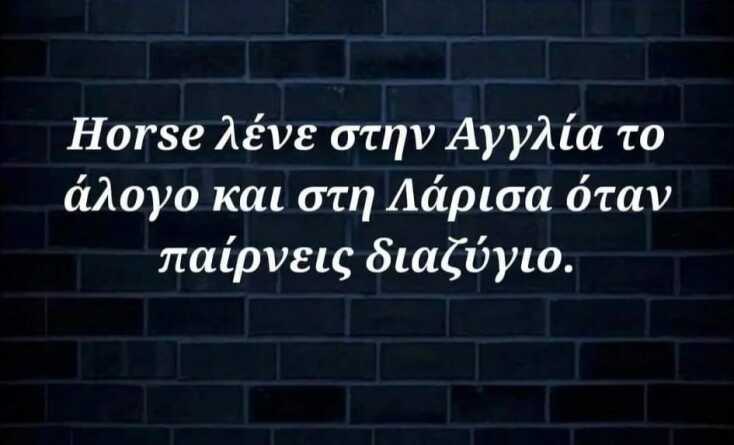 Αστεία memes, ατάκες, YOLO βίντεο, viral, αστεία video στο TikTok που ανέβηκαν στο διαδίκτυο και μας έκαναν να γελάσουμε.