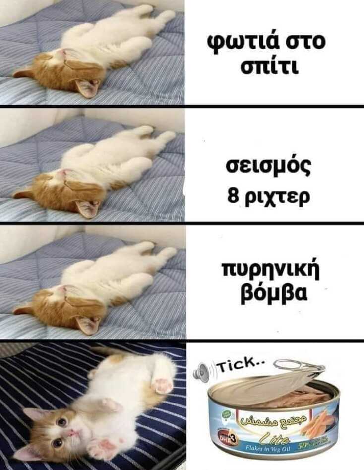 Αστεία memes, ατάκες, YOLO βίντεο, viral, αστεία video στο TikTok που ανέβηκαν στο διαδίκτυο και μας έκαναν να γελάσουμε.