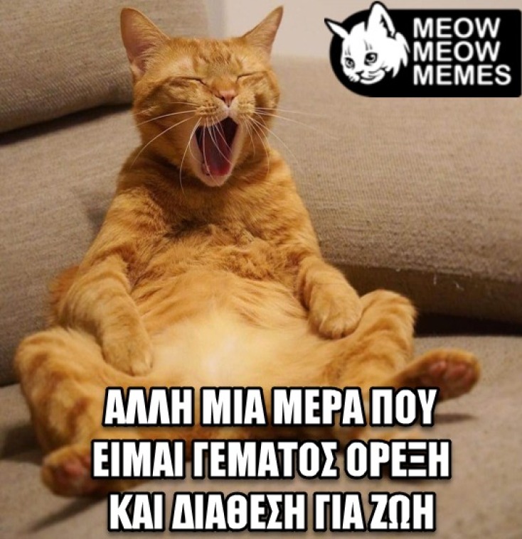 Αστεία memes, ατάκες, YOLO βίντεο, viral, αστεία video στο TikTok που ανέβηκαν στο διαδίκτυο και μας έκαναν να γελάσουμε.