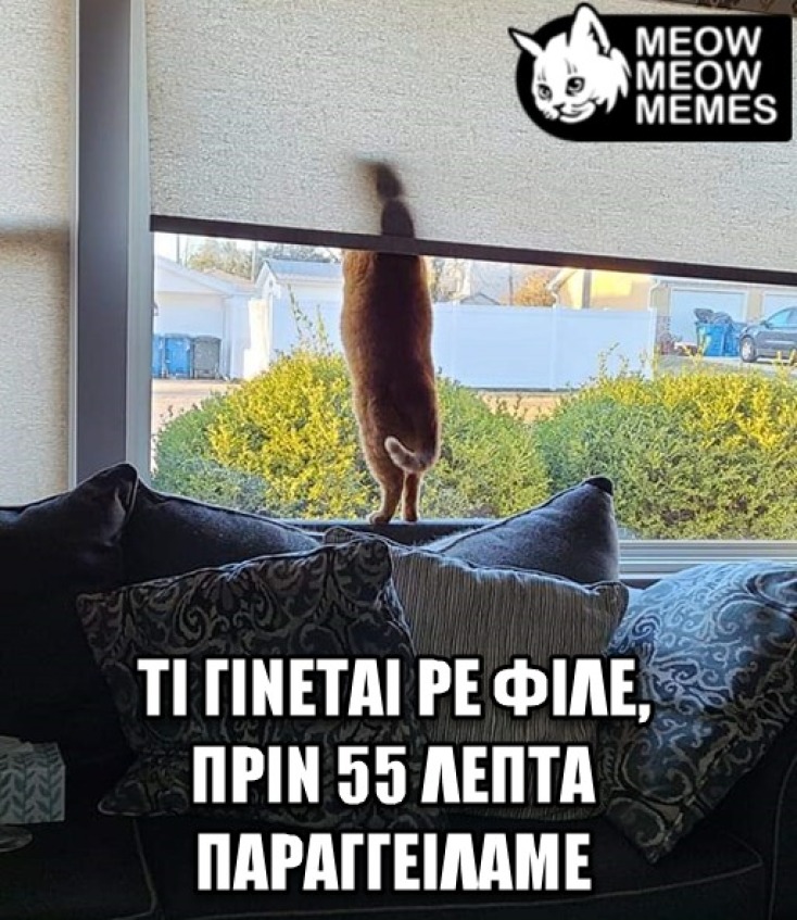 Αστεία memes, ατάκες, YOLO βίντεο, viral, αστεία video στο TikTok που ανέβηκαν στο διαδίκτυο και μας έκαναν να γελάσουμε.