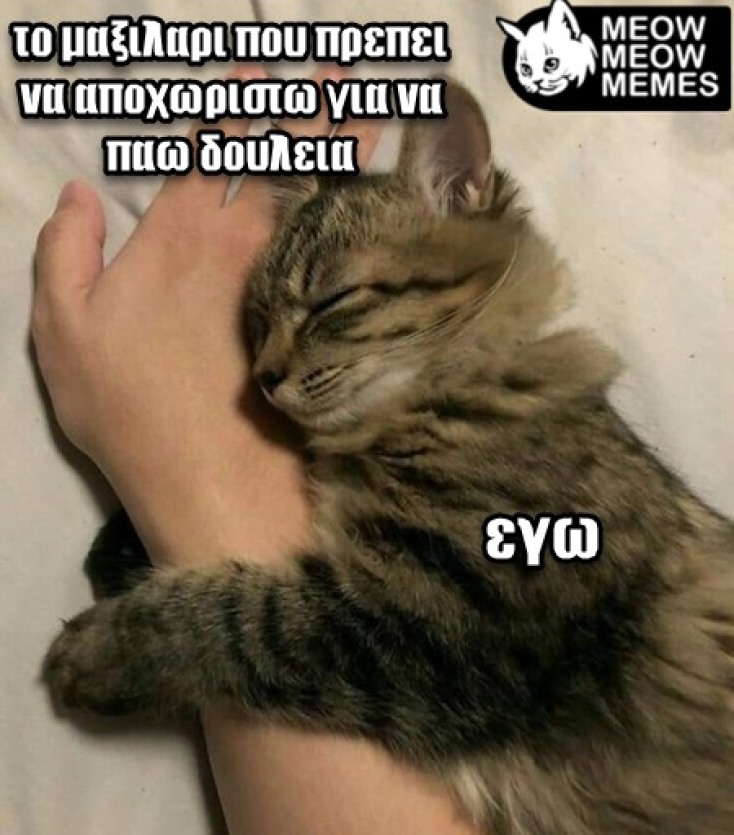Αστεία memes, ατάκες, YOLO βίντεο, viral, αστεία video στο TikTok που ανέβηκαν στο διαδίκτυο και μας έκαναν να γελάσουμε.
