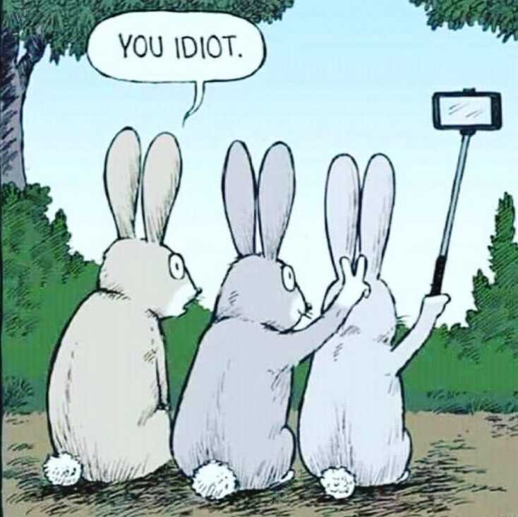 Αστεία memes, ατάκες, YOLO βίντεο, viral, αστεία video στο TikTok που ανέβηκαν στο διαδίκτυο και μας έκαναν να γελάσουμε.