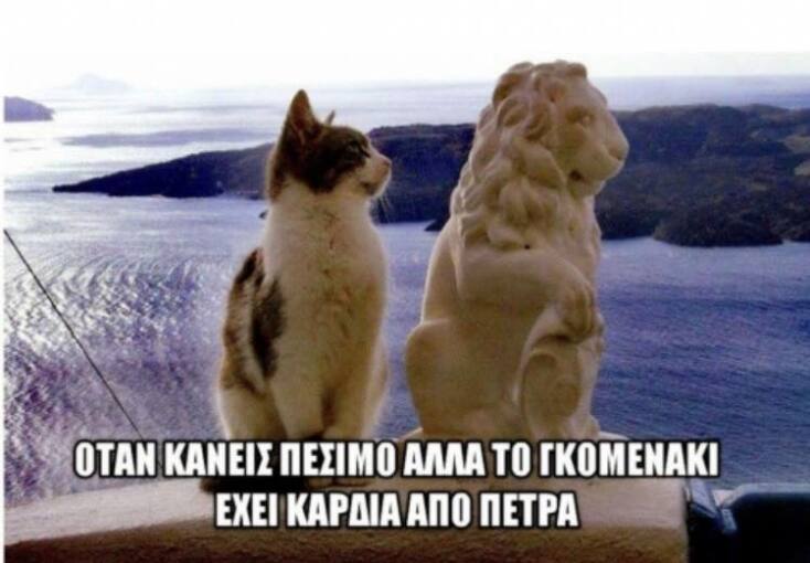 Αστεία memes, ατάκες, YOLO βίντεο, viral, αστεία video στο TikTok που ανέβηκαν στο διαδίκτυο και μας έκαναν να γελάσουμε.