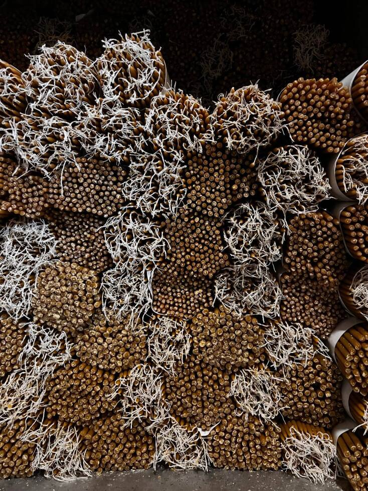 Kηροπλαστείο Αβράμης: Ένα εργαστήριο της Πάτρας φτιάχνει χειροποίητα κεριά από το 1898