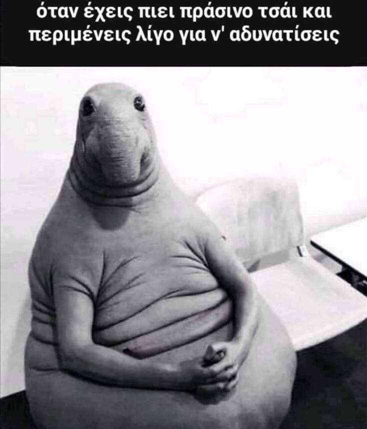 Αστεία memes, ατάκες, YOLO βίντεο, viral, αστεία video στο TikTok που ανέβηκαν στο διαδίκτυο και μας έκαναν να γελάσουμε.