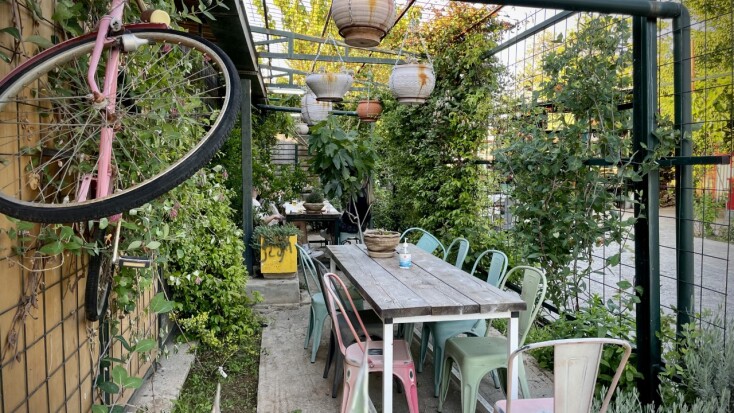 Ozi Donga - Ο Τρελός Αυστραλός