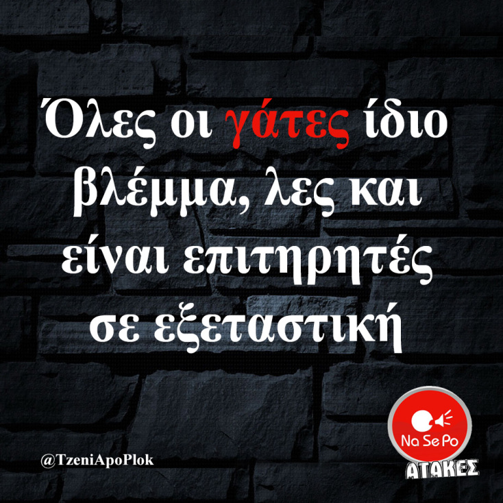 Αστεία memes, ατάκες, YOLO βίντεο, viral, αστεία video στο TikTok που ανέβηκαν στο διαδίκτυο και μας έκαναν να γελάσουμε.