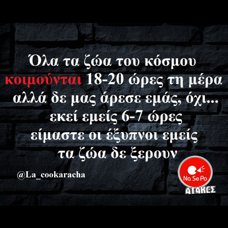 Αστεία memes, ατάκες, YOLO βίντεο, viral, αστεία video στο TikTok που ανέβηκαν στο διαδίκτυο και μας έκαναν να γελάσουμε.