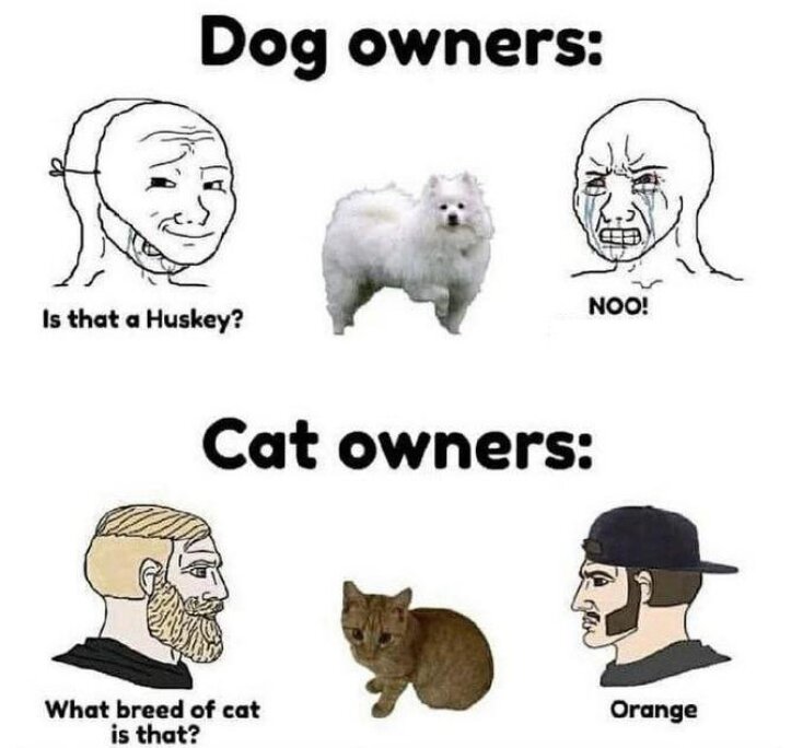 Αστεία memes, ατάκες, YOLO βίντεο, viral, αστεία video στο TikTok που ανέβηκαν στο διαδίκτυο και μας έκαναν να γελάσουμε.