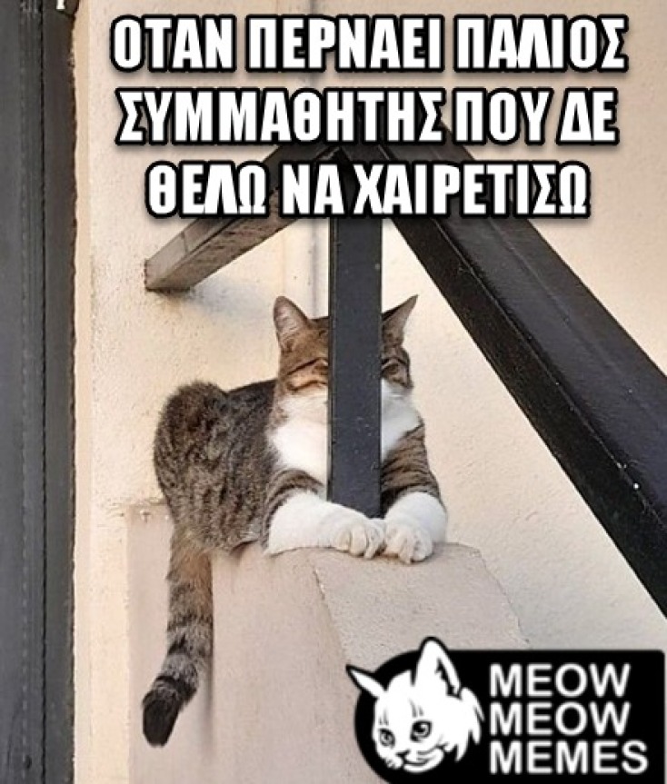 Αστεία memes, ατάκες, YOLO βίντεο, viral, αστεία video στο TikTok που ανέβηκαν στο διαδίκτυο και μας έκαναν να γελάσουμε.