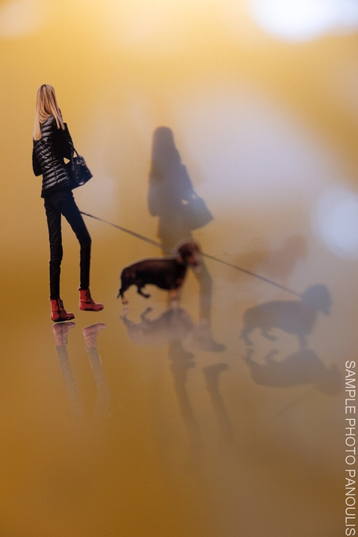 Ζέττα Αντσακλή: Συνέντευξη με την εικαστικό για την έκθεση Shades, Σκιές στο Μουσείο Γουλανδρή Φυσικής Ιστορίας. 