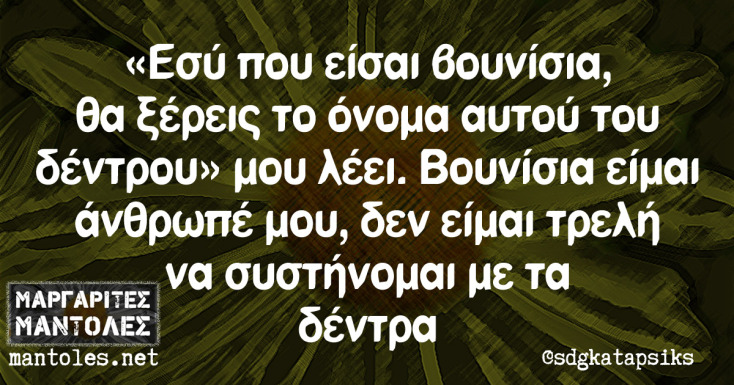 Αστεία memes, ατάκες, YOLO βίντεο, viral, αστεία video στο TikTok που ανέβηκαν στο διαδίκτυο και μας έκαναν να γελάσουμε.