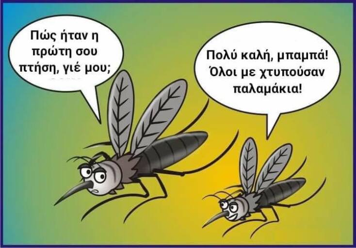 Αστεία memes, ατάκες, YOLO βίντεο, viral, αστεία video στο TikTok που ανέβηκαν στο διαδίκτυο και μας έκαναν να γελάσουμε.