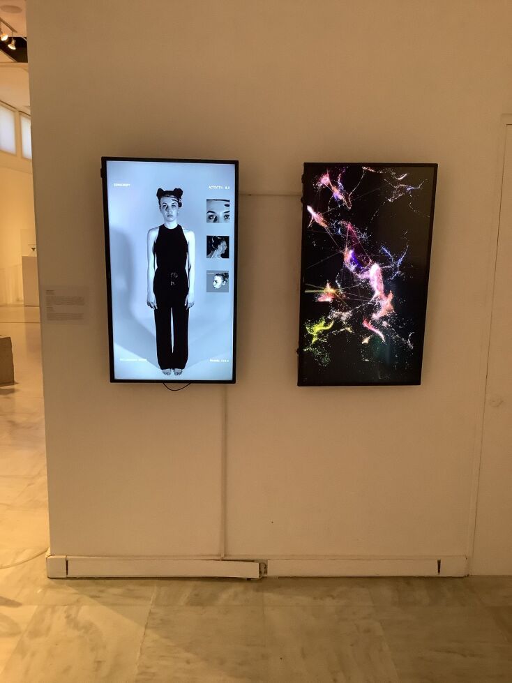 Inspire Project 2023