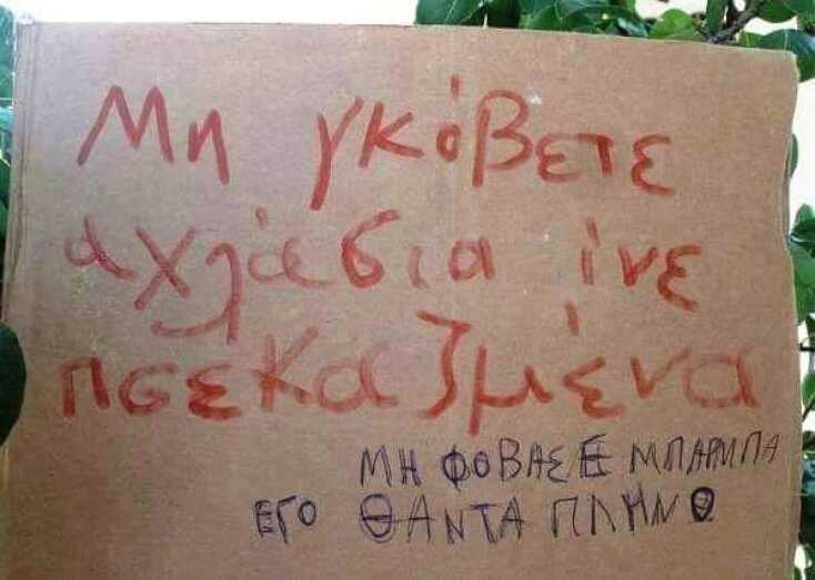 Αστεία memes, ατάκες, YOLO βίντεο, viral, αστεία video στο TikTok που ανέβηκαν στο διαδίκτυο και μας έκαναν να γελάσουμε.