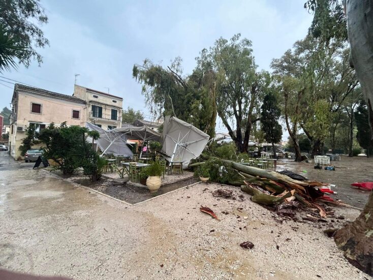 Πτώση δέντρου στην Κέρκυρα
