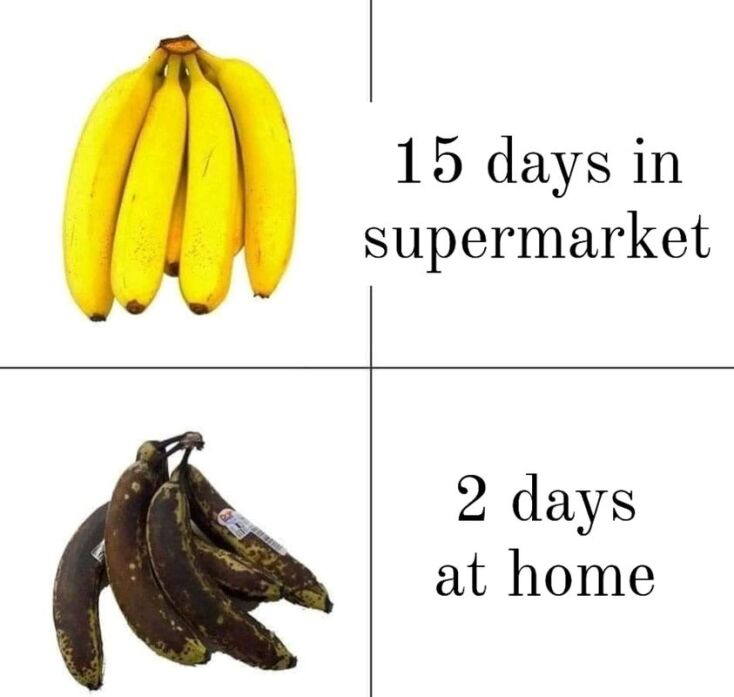 Αστεία memes, ατάκες, YOLO βίντεο, viral, αστεία video στο TikTok που ανέβηκαν στο διαδίκτυο και μας έκαναν να γελάσουμε.