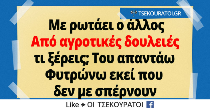 Αστεία memes, ατάκες, YOLO βίντεο, viral, αστεία video στο TikTok που ανέβηκαν στο διαδίκτυο και μας έκαναν να γελάσουμε.