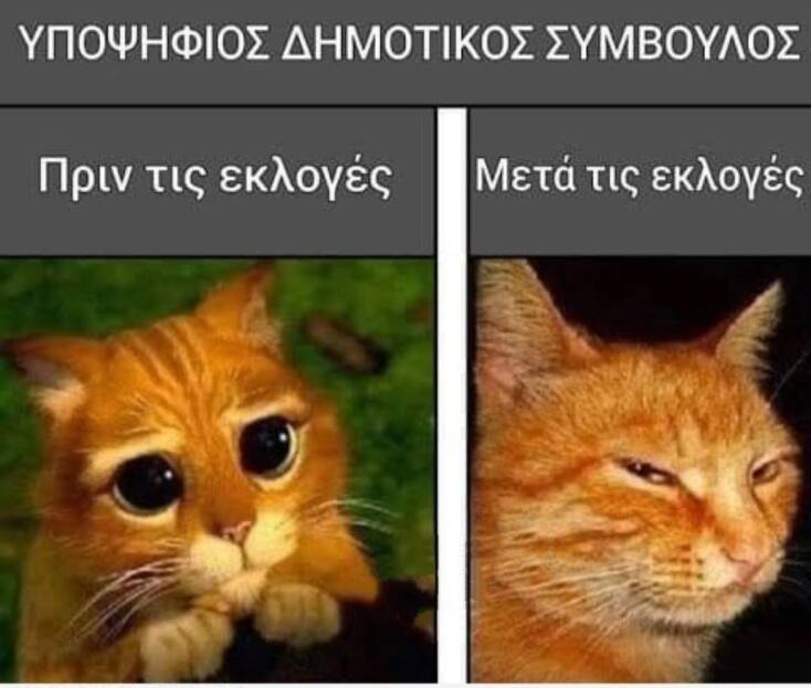 Αστεία memes, ατάκες, YOLO βίντεο, viral, αστεία video στο TikTok που ανέβηκαν στο διαδίκτυο και μας έκαναν να γελάσουμε.