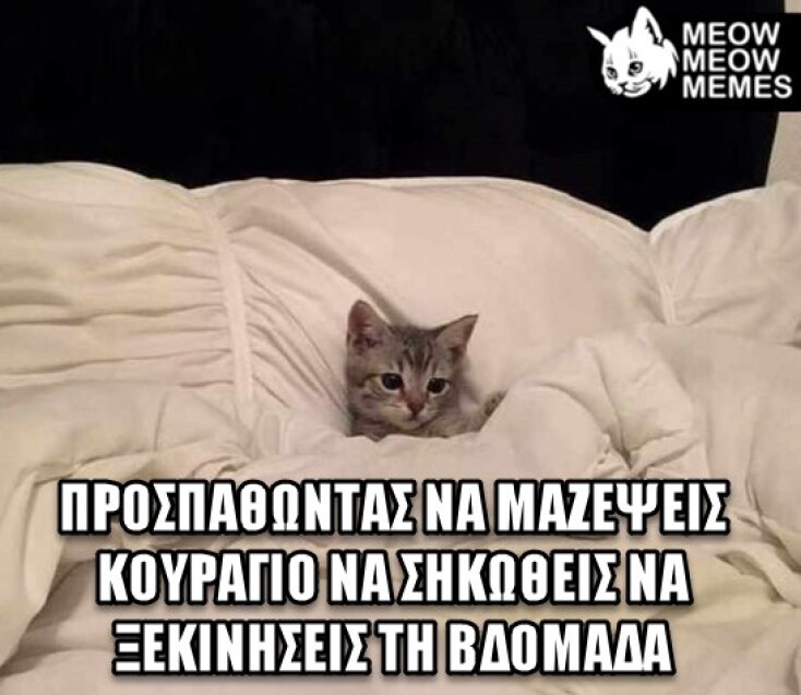 Αστεία memes, ατάκες, YOLO βίντεο, viral, αστεία video στο TikTok που ανέβηκαν στο διαδίκτυο και μας έκαναν να γελάσουμε.