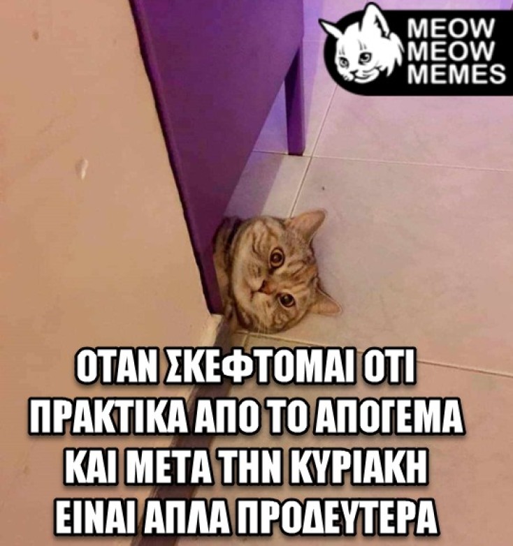 Αστεία memes, ατάκες, YOLO βίντεο, viral, αστεία video στο TikTok που ανέβηκαν στο διαδίκτυο και μας έκαναν να γελάσουμε.