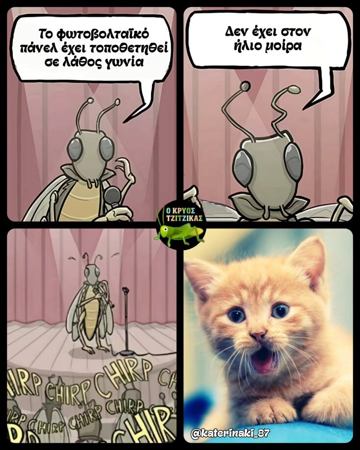 Αστεία memes, ατάκες, YOLO βίντεο, viral, αστεία video στο TikTok που ανέβηκαν στο διαδίκτυο και μας έκαναν να γελάσουμε.