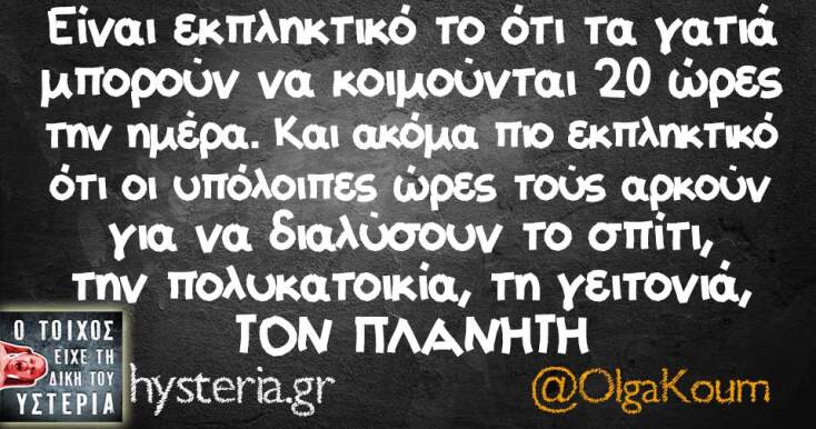 Αστεία memes, ατάκες, YOLO βίντεο, viral, αστεία video στο TikTok που ανέβηκαν στο διαδίκτυο και μας έκαναν να γελάσουμε.